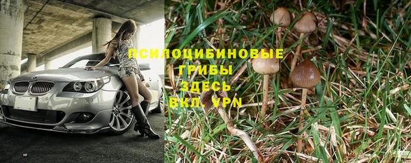 трава Горняк
