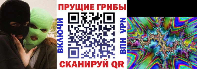 Псилоцибиновые грибы Magic Shrooms  omg зеркало  Ивантеевка 